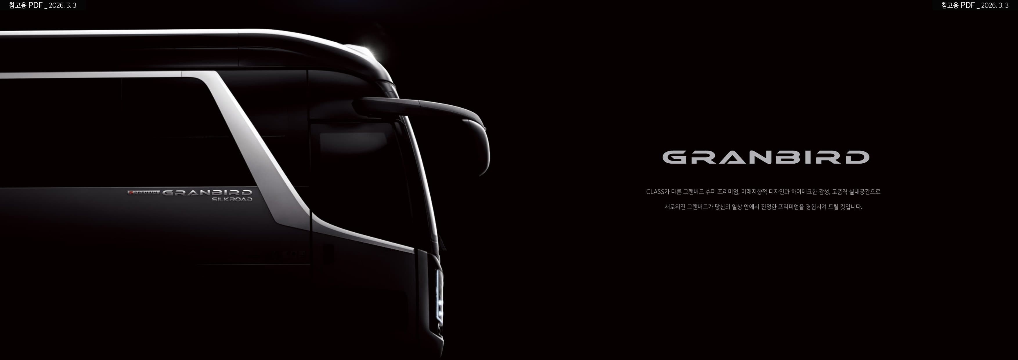 KIA Granbird (45 chỗ) p2