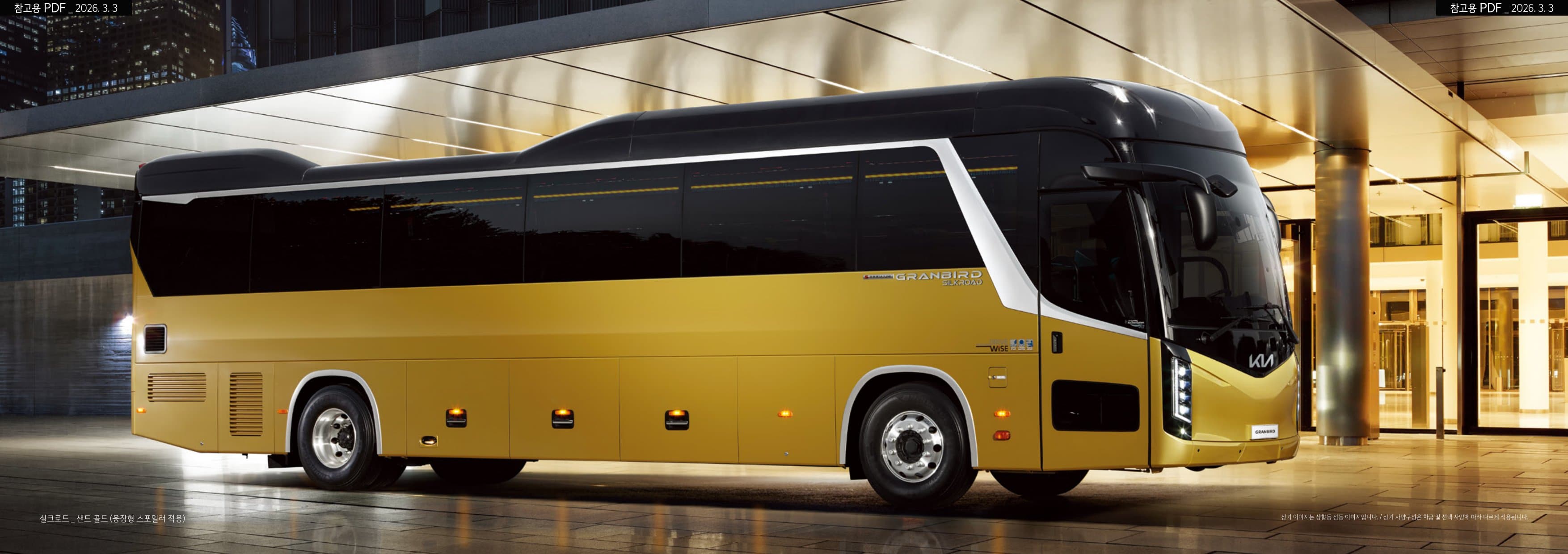 KIA Granbird (45 chỗ) p4