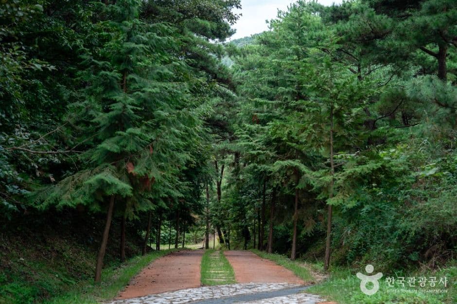 [대구올레 팔공산 2코스] 한실골 가는 길