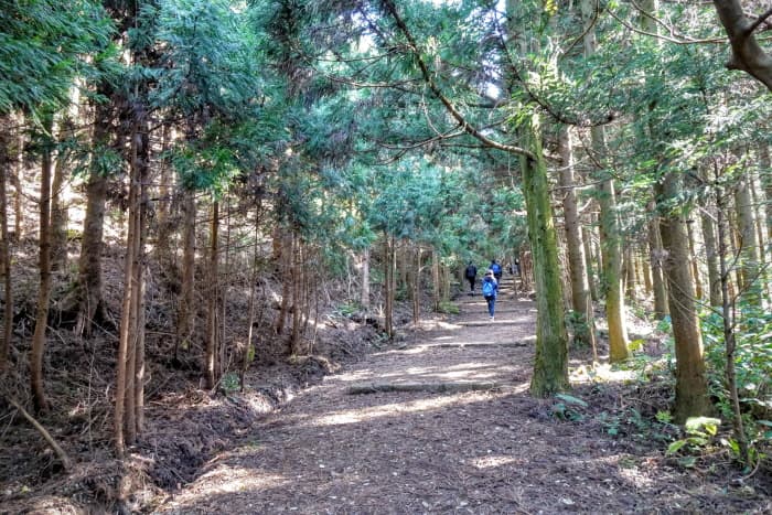 Geomunoreum Lava Tube [UNESCO World Natural Heritage Site] (거문오름 [유네스코 세계자연유산])