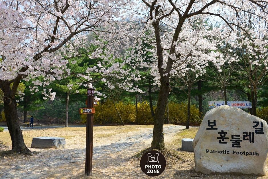 국립대전현충원 보훈둘레길