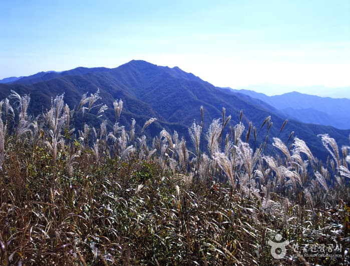 Jangansan County Park (장안산군립공원)