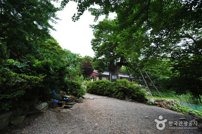 Incheon Yonggungsa Temple (용궁사 (인천))