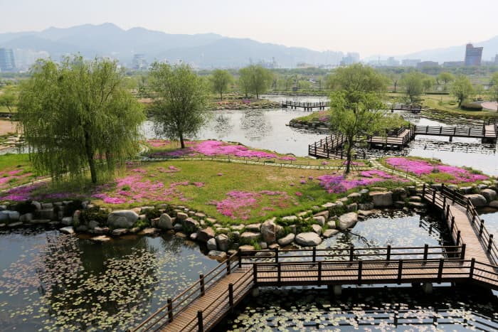 Samnak Eco Park (삼락생태공원)