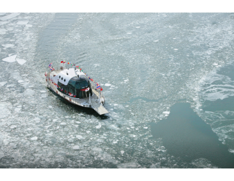 남이섬 입장권 NAMI ISLAND TICKET